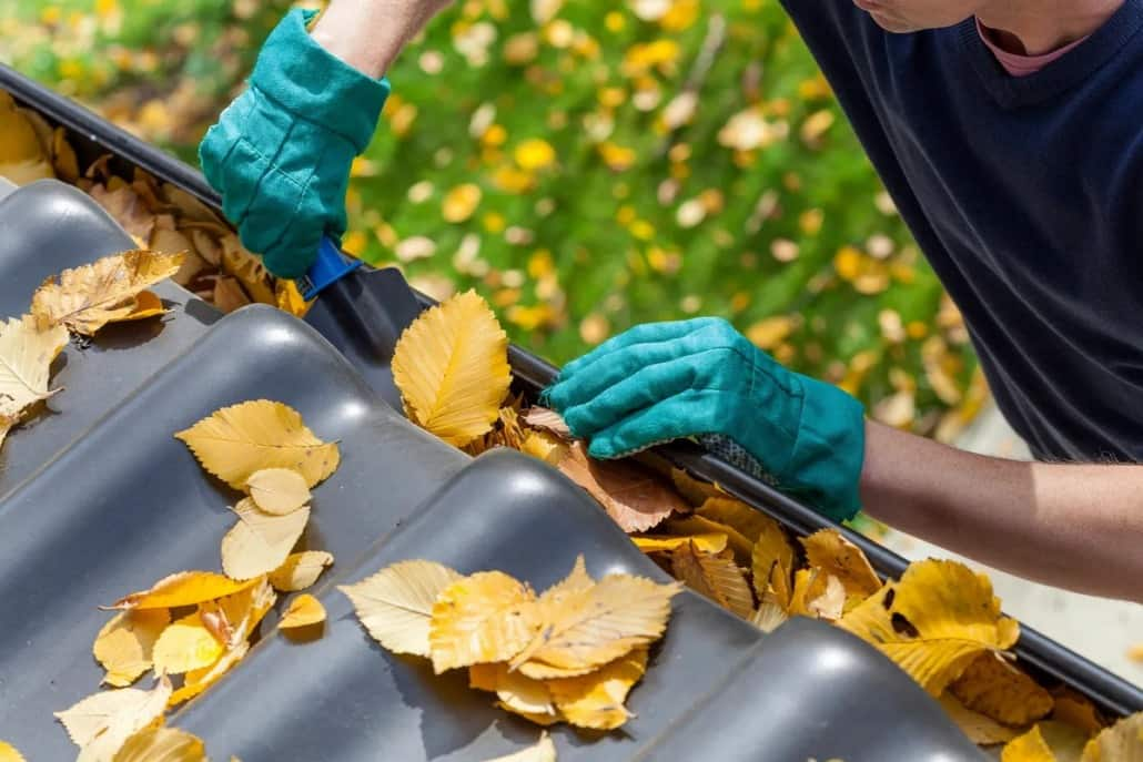 Gutter Cleaning and Maintenance